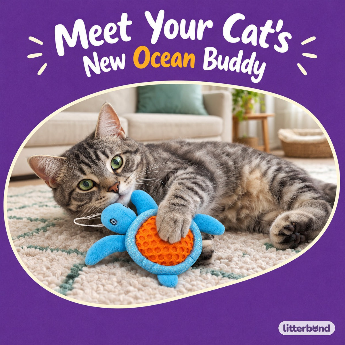 Sparkle Shell Sea Turtle with a cat
