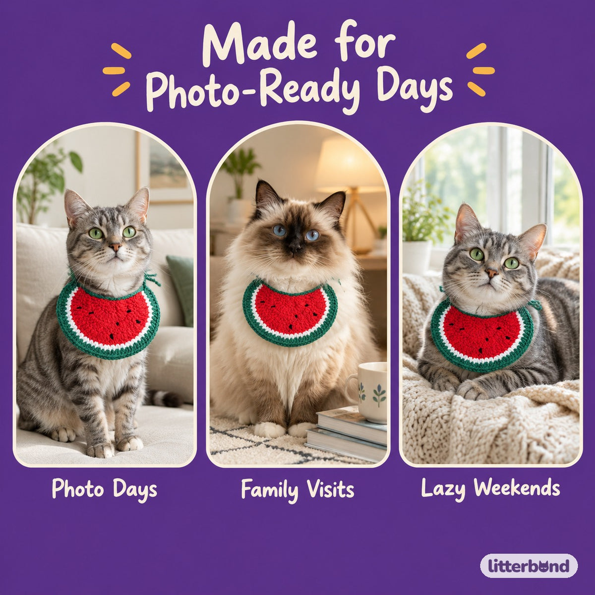 Crochet Applique Bib on a cat at home