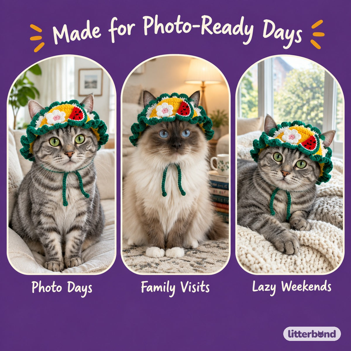 Fruit & Friends Ruffle Hat on a cat at home