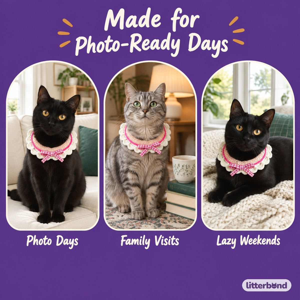 Cream Ruffle Ribbon Bow Collar on a cat at home