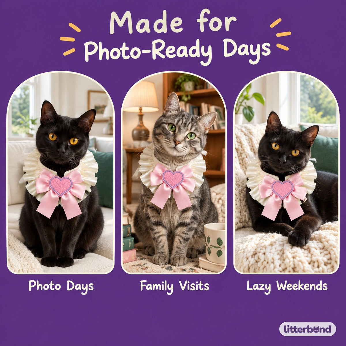 Big Bow Heart Patch Bib on a cat at home