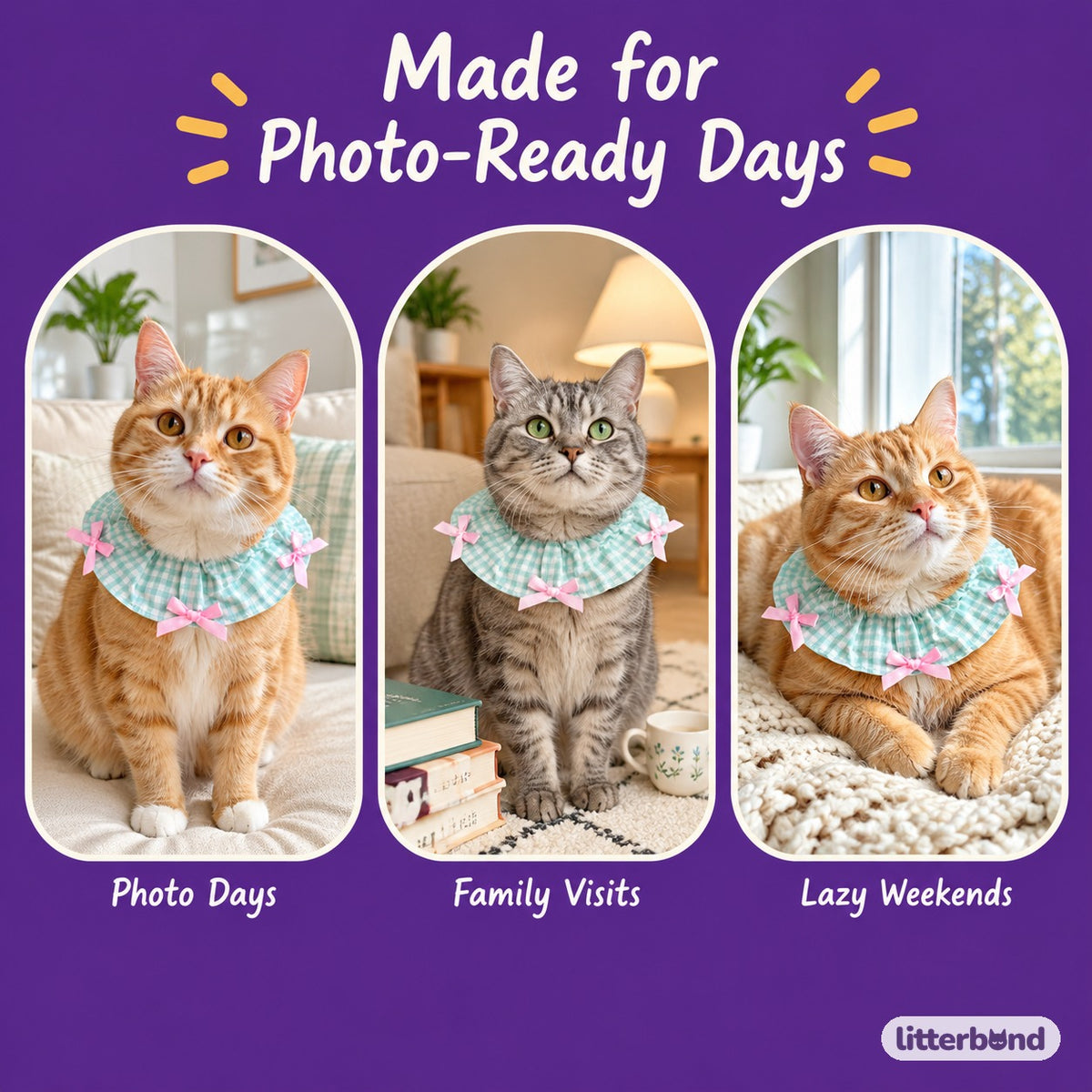 Mini Bow Print Ruffle Collar on a cat at home