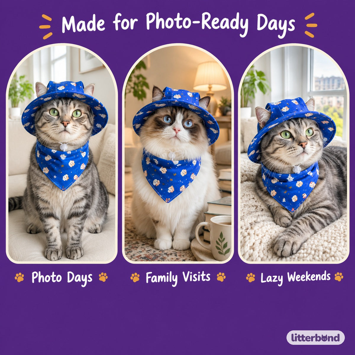 Pup Print Hat & Bandana Set on a cat at home