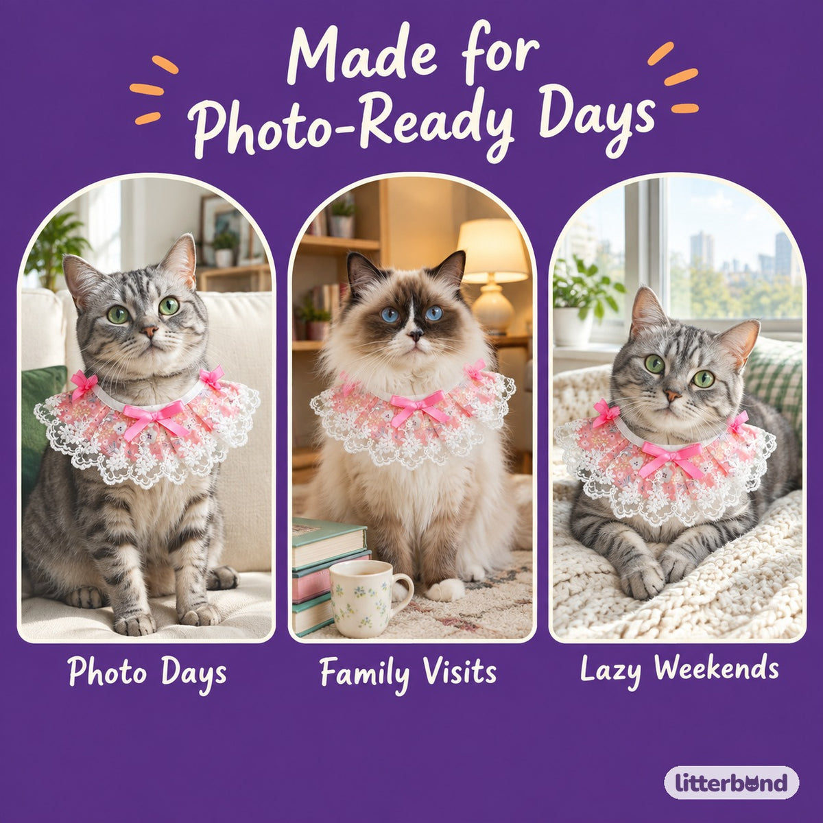 Floral Lace Edge Bib on a cat at home
