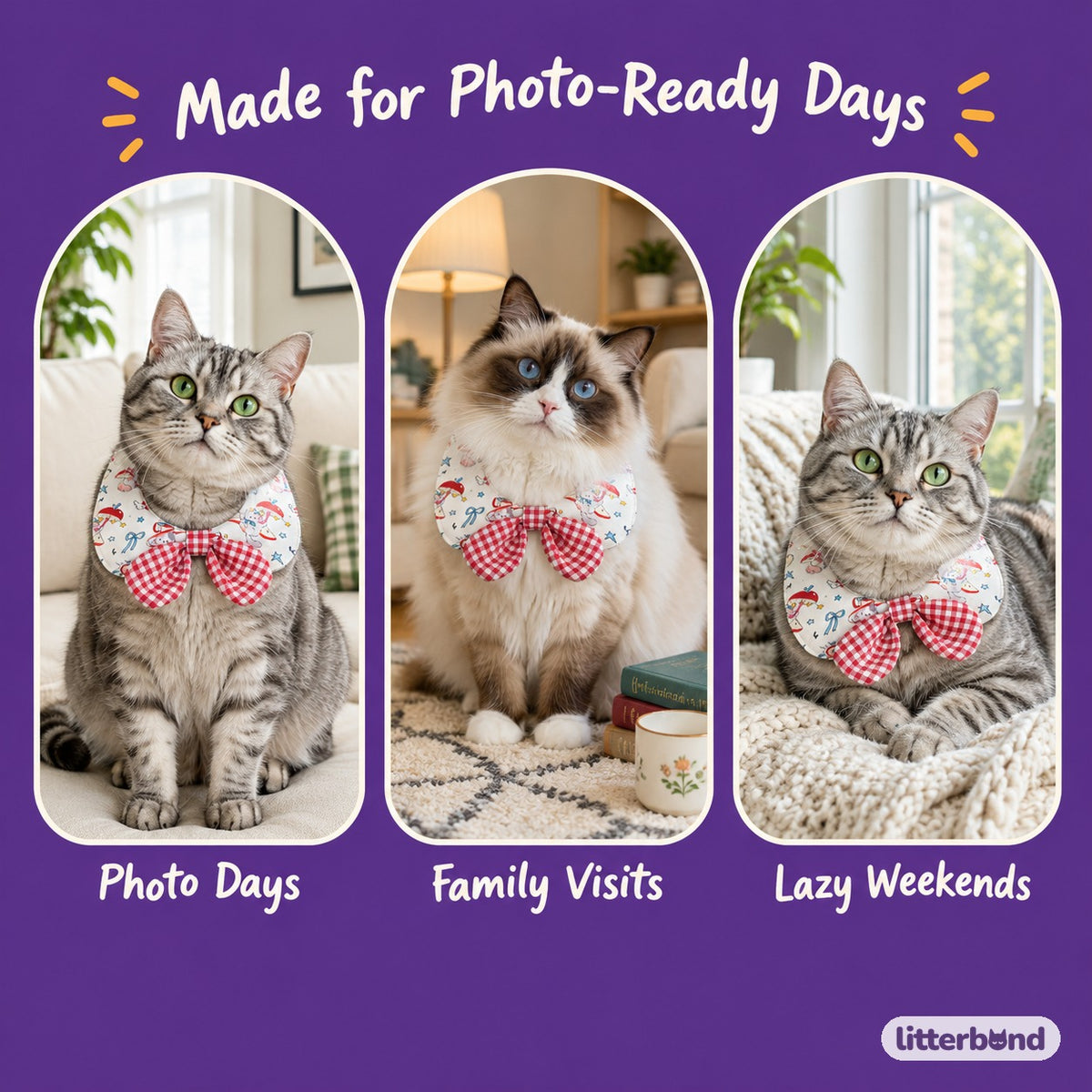 Printed Gingham Bow Bib on a cat at home