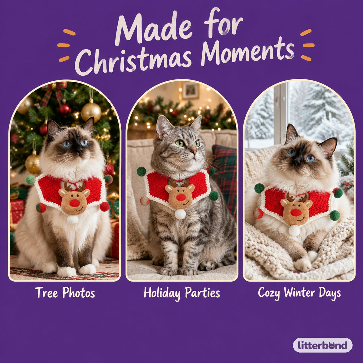 Christmas Crochet Charm Collar on a cat at home