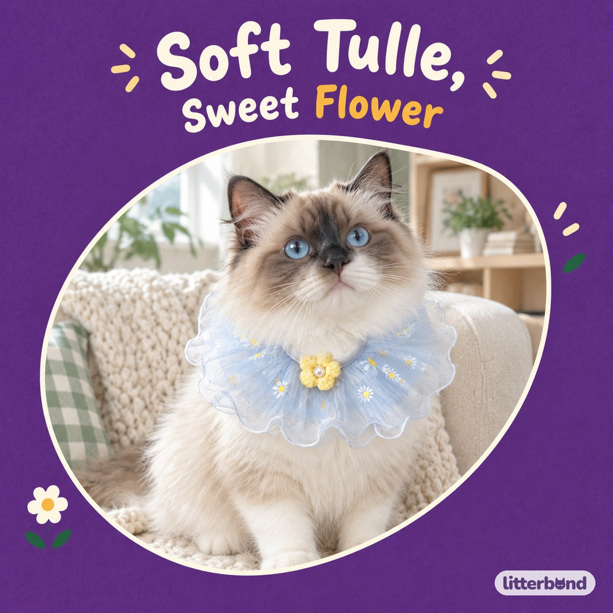 Floral Tulle Ruffle Collar on a cat