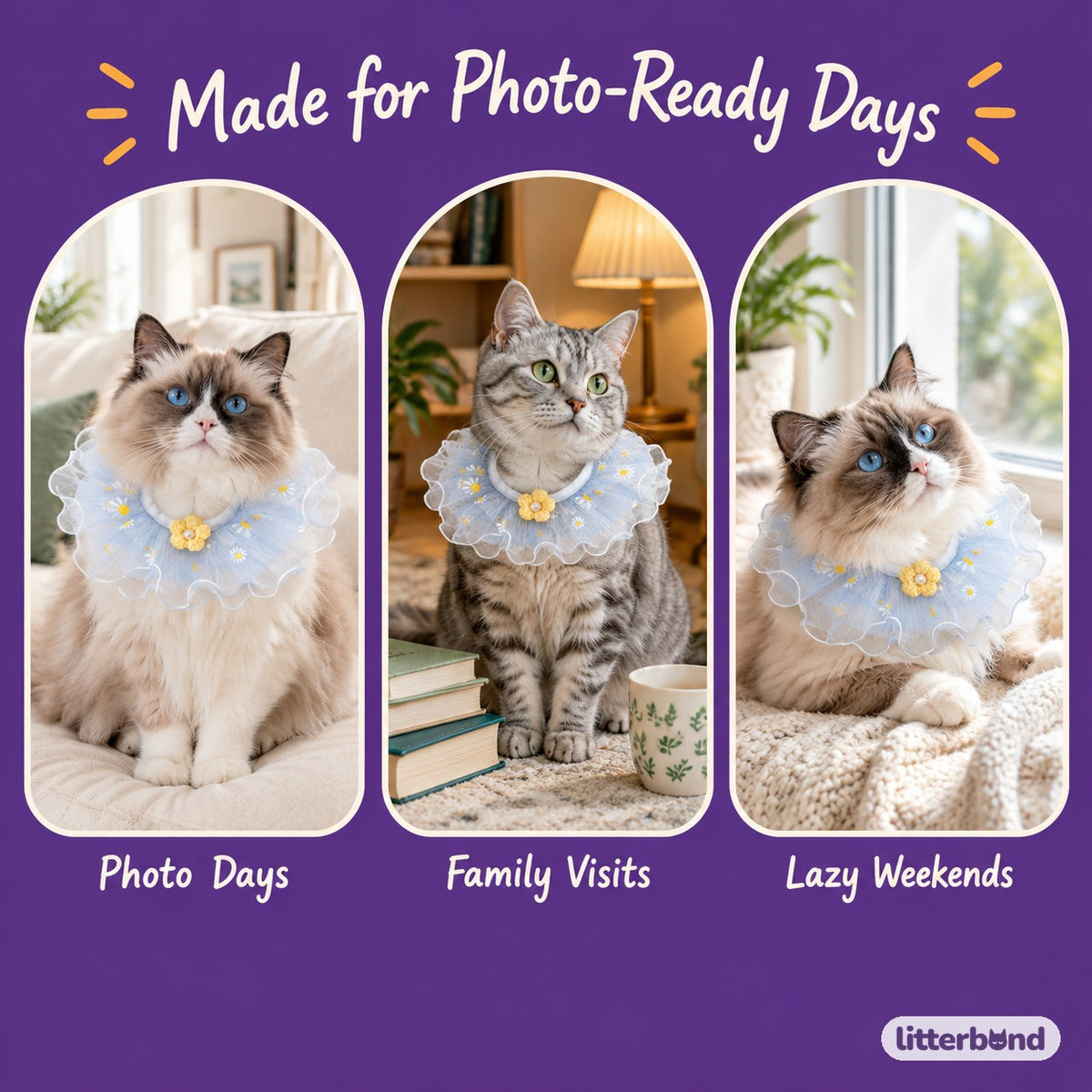 Floral Tulle Ruffle Collar on a cat at home