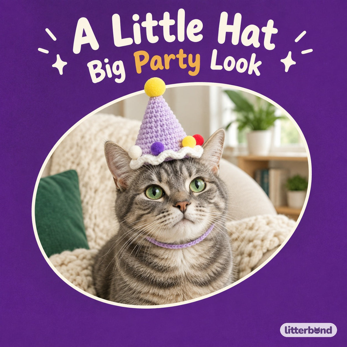 Pastel Pom-Pom Party Hat on a cat