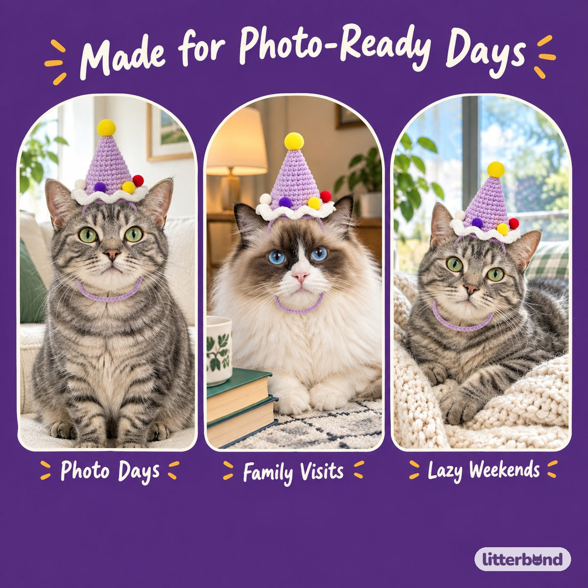 Pastel Pom-Pom Party Hat on a cat at home