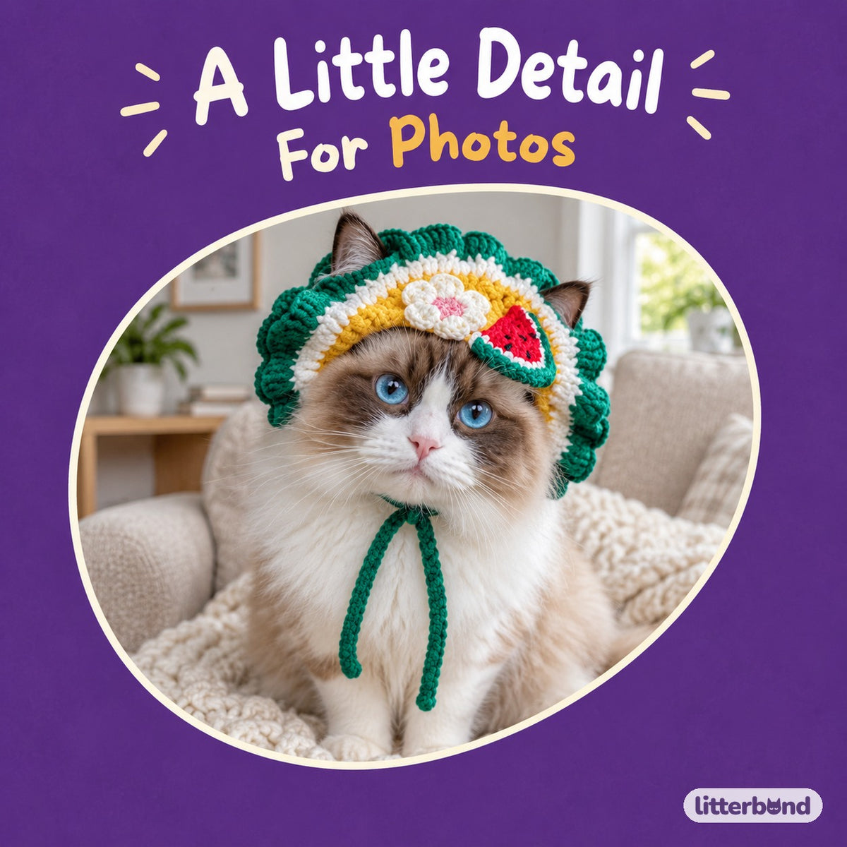 Crochet Dress-Up Hats & Hood on a cat