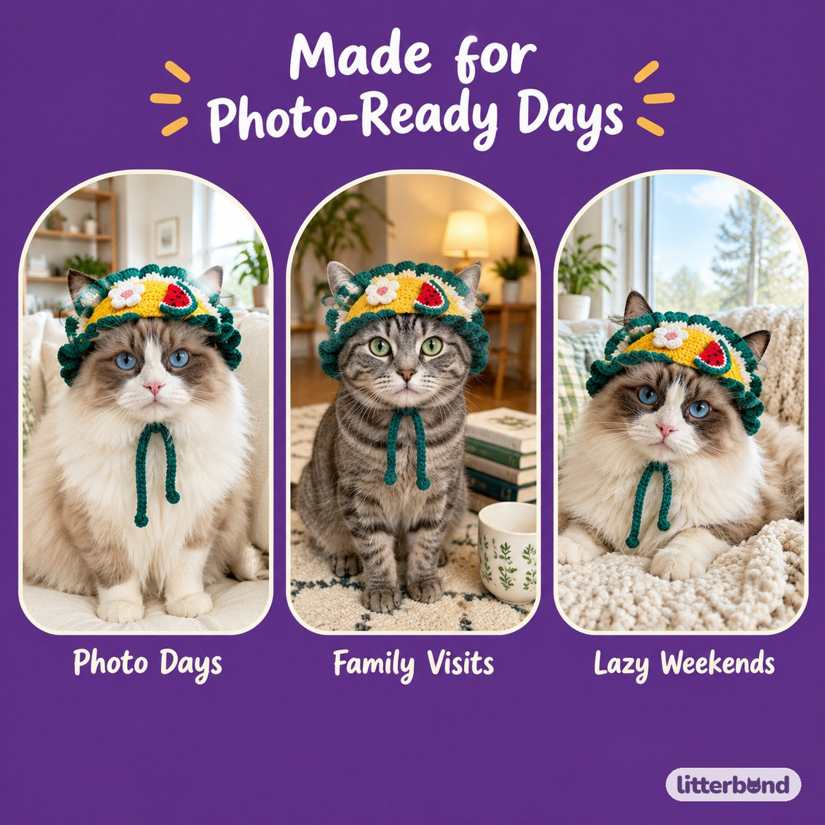 Crochet Dress-Up Hats & Hood on a cat at home