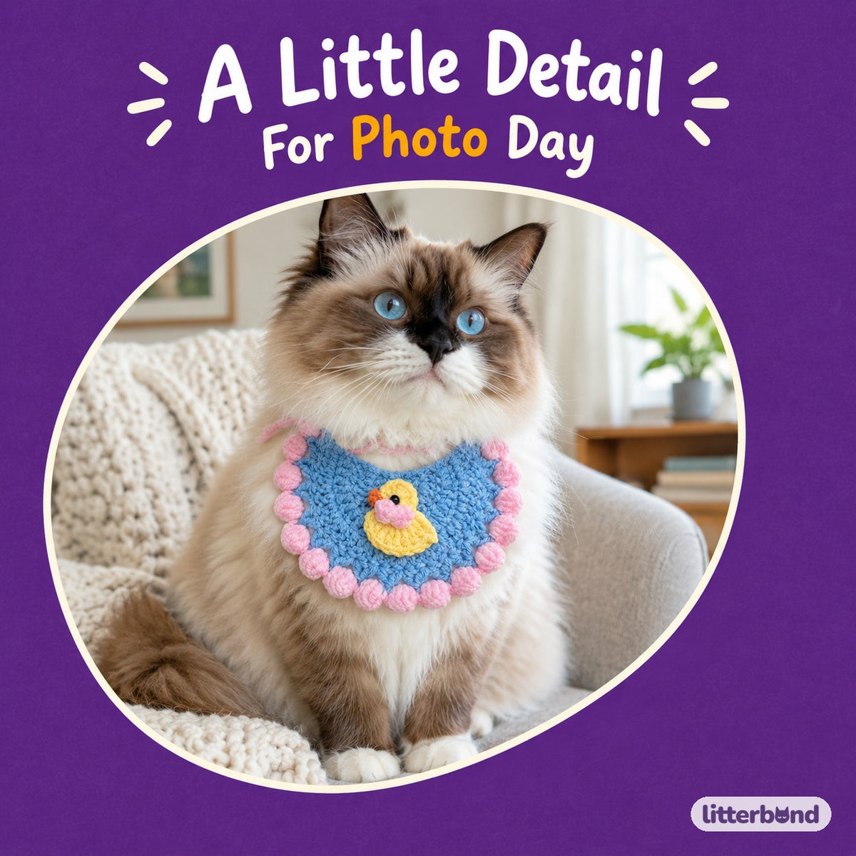Crochet Hat & Bib Options on a cat