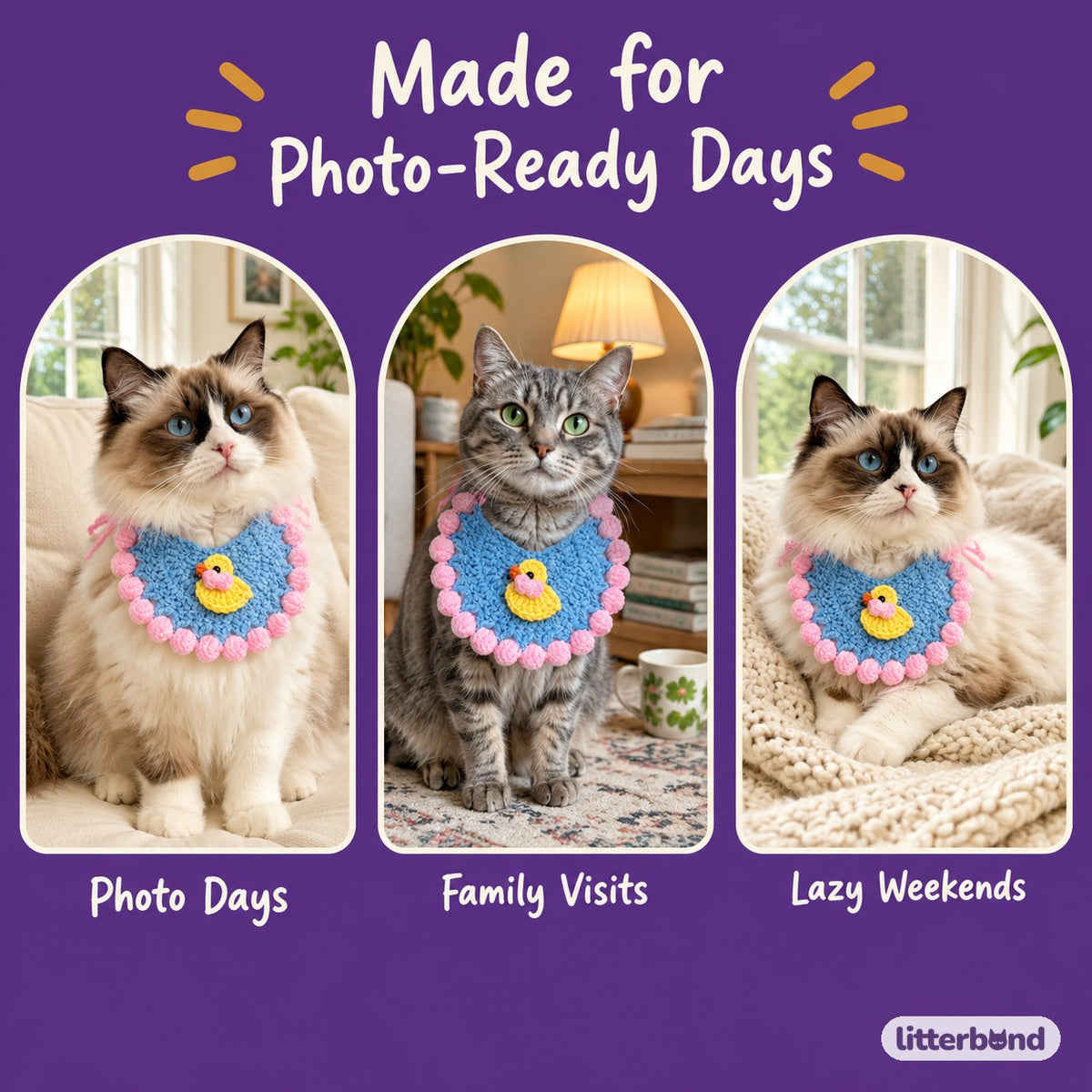 Crochet Hat & Bib Options on a cat at home