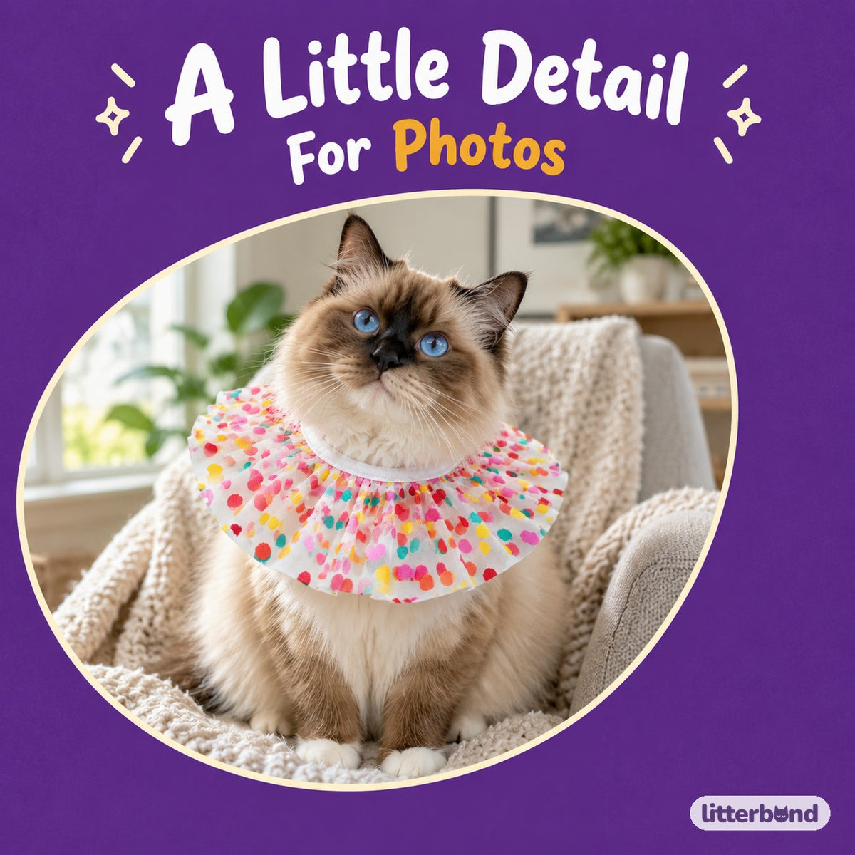 Sheer Confetti Dot Ruffle Collar on a cat
