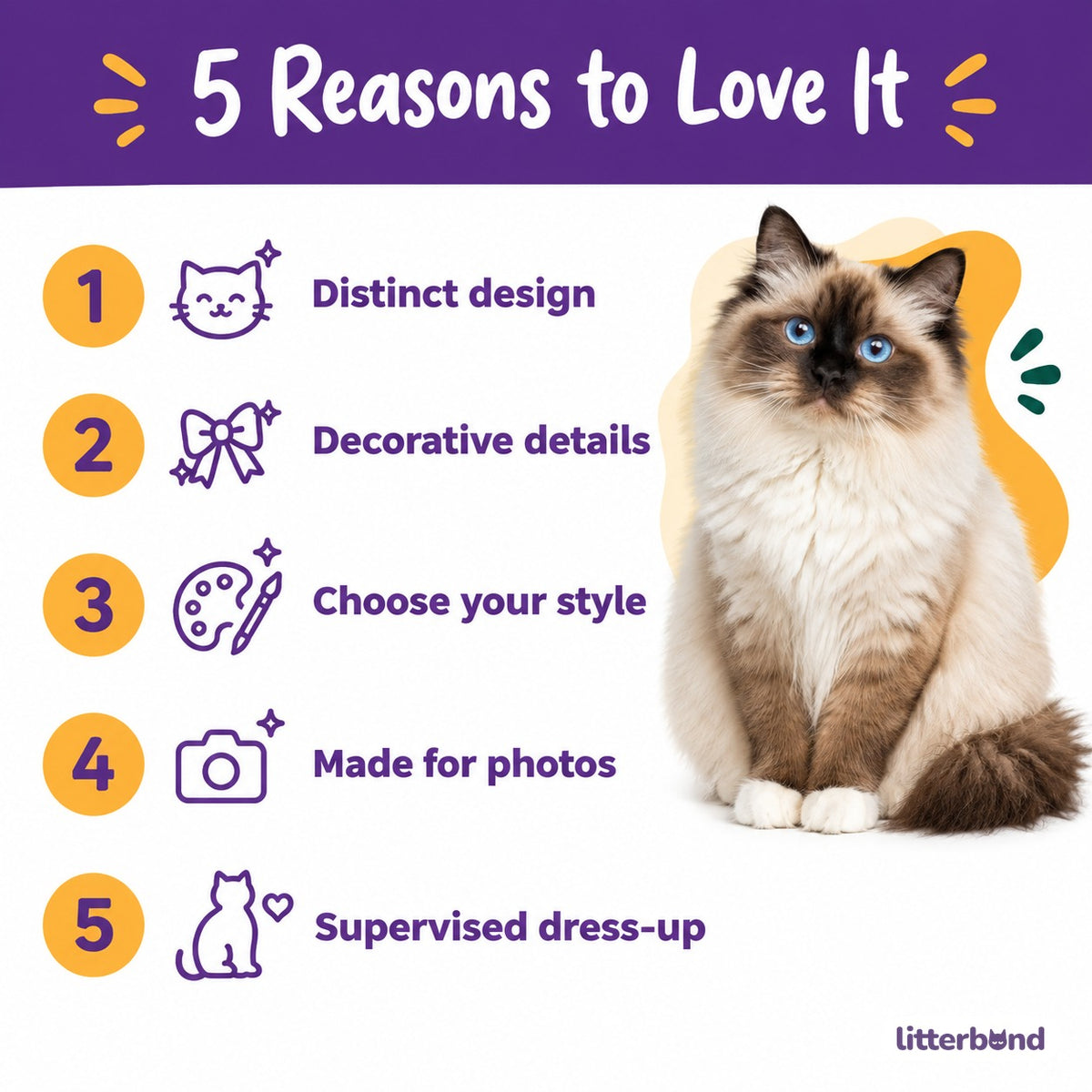 Sheer Confetti Dot Ruffle Collar - 5 reasons to love it