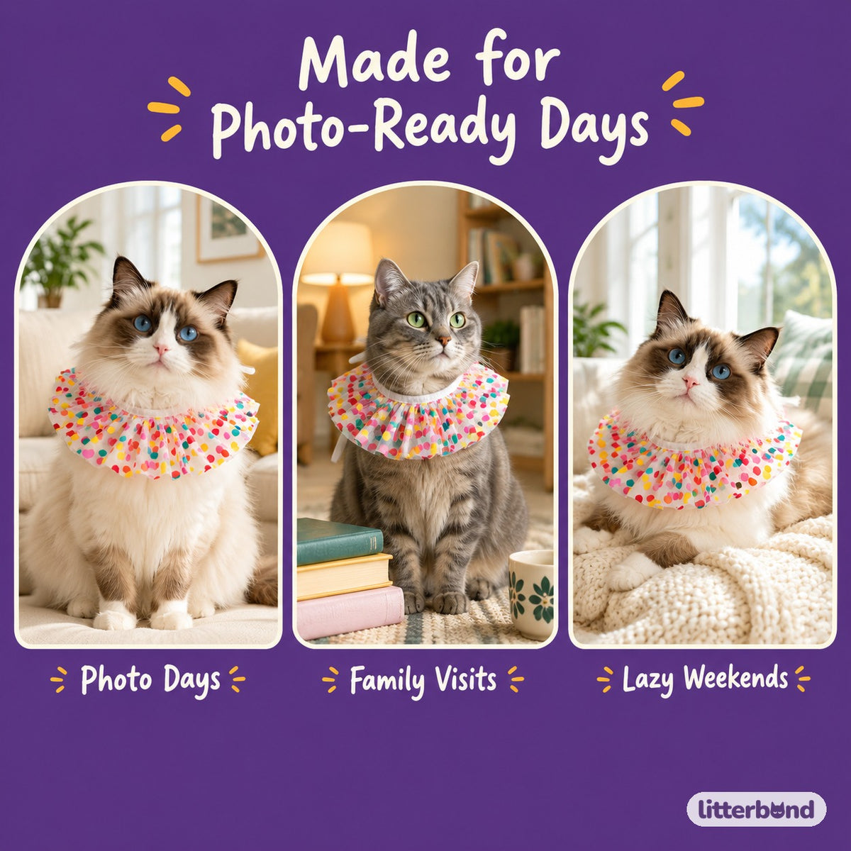 Sheer Confetti Dot Ruffle Collar on a cat at home