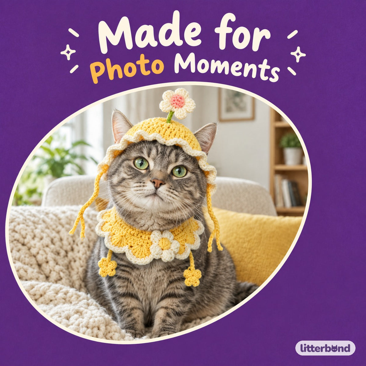 Daisy & Bunny Hat and Collar Options on a cat