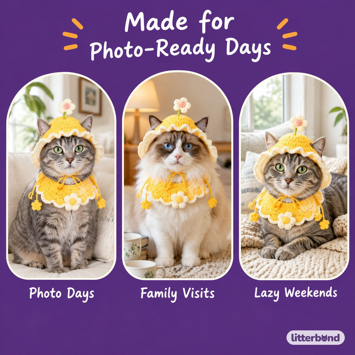 Daisy & Bunny Hat and Collar Options on a cat at home