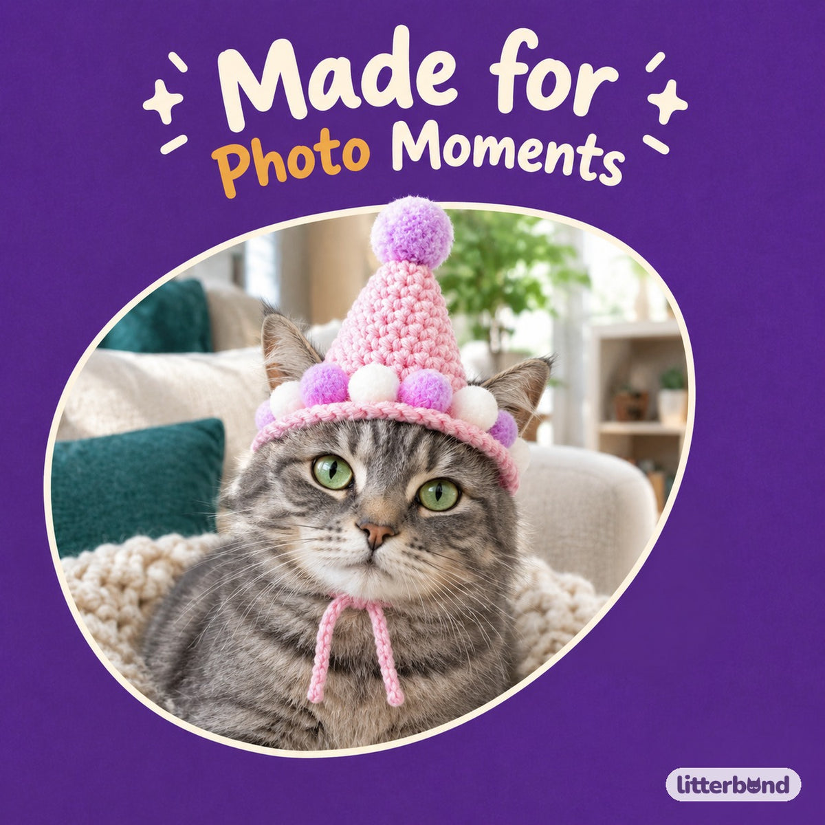 Pom-Pom Ring Crochet Party Hat on a cat