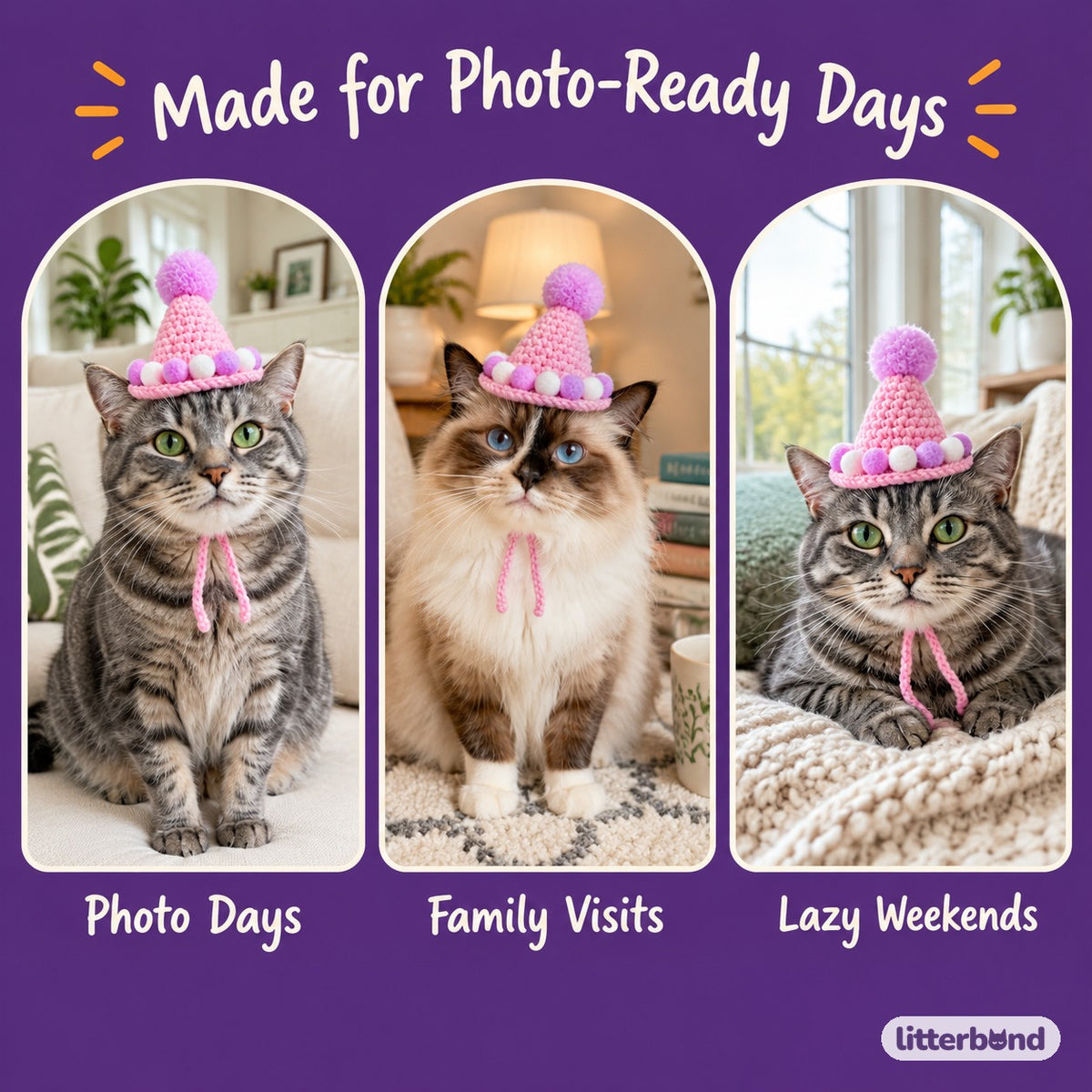 Pom-Pom Ring Crochet Party Hat on a cat at home