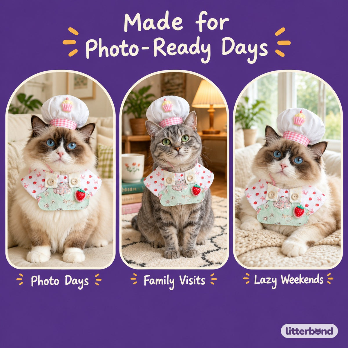 Chef Hat & Bib Options on a cat at home