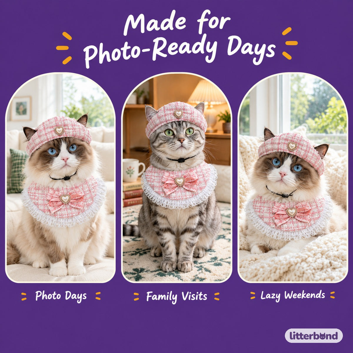 Tweed Fringe Hat & Bib Options on a cat at home