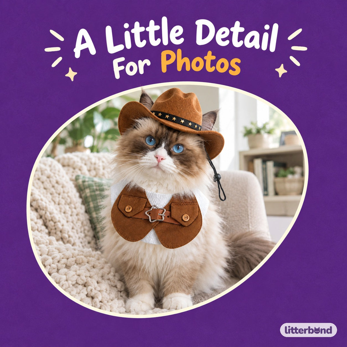 Western Hat & Collar Options on a cat