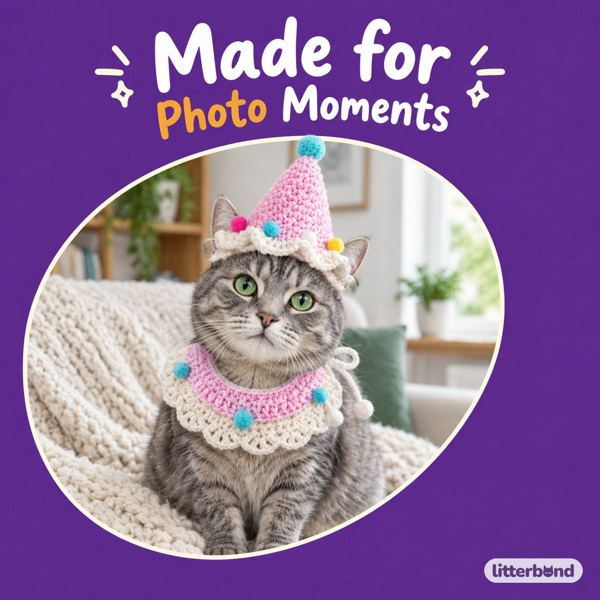 Crochet Party Hat & Collar Options on a cat