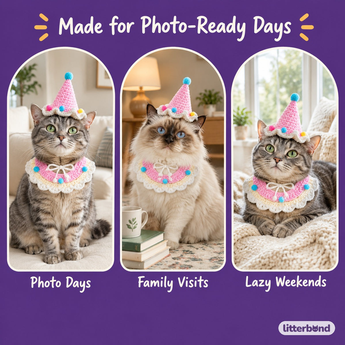 Crochet Party Hat & Collar Options on a cat at home