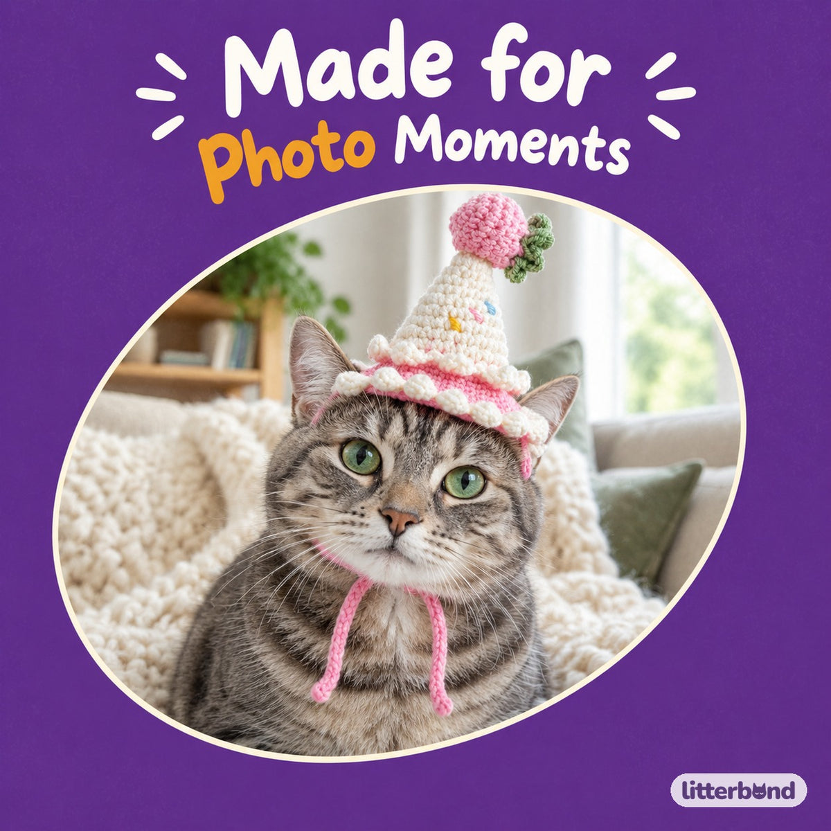 Strawberry Sprinkle Cone Hat on a cat