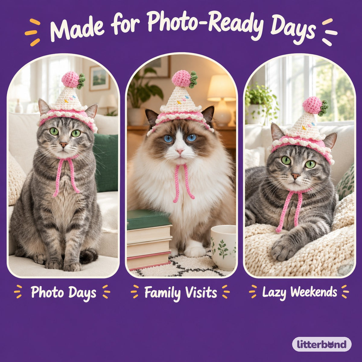 Strawberry Sprinkle Cone Hat on a cat at home