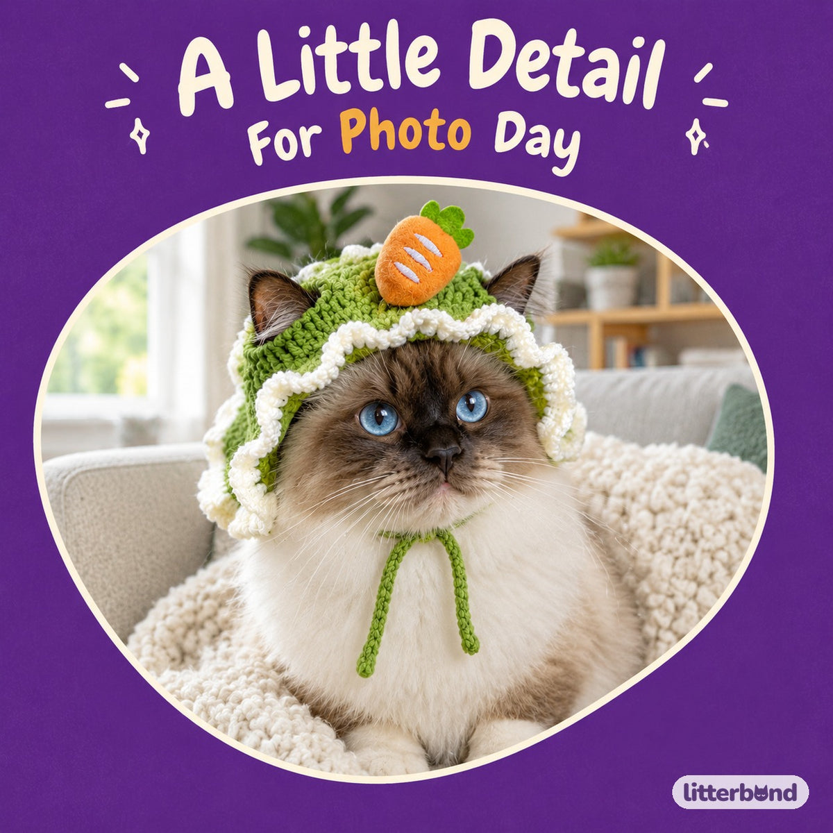 Crochet Motif Hat Options on a cat