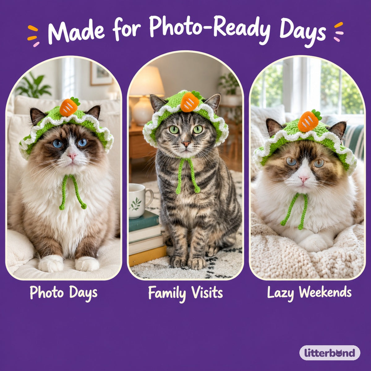 Crochet Motif Hat Options on a cat at home