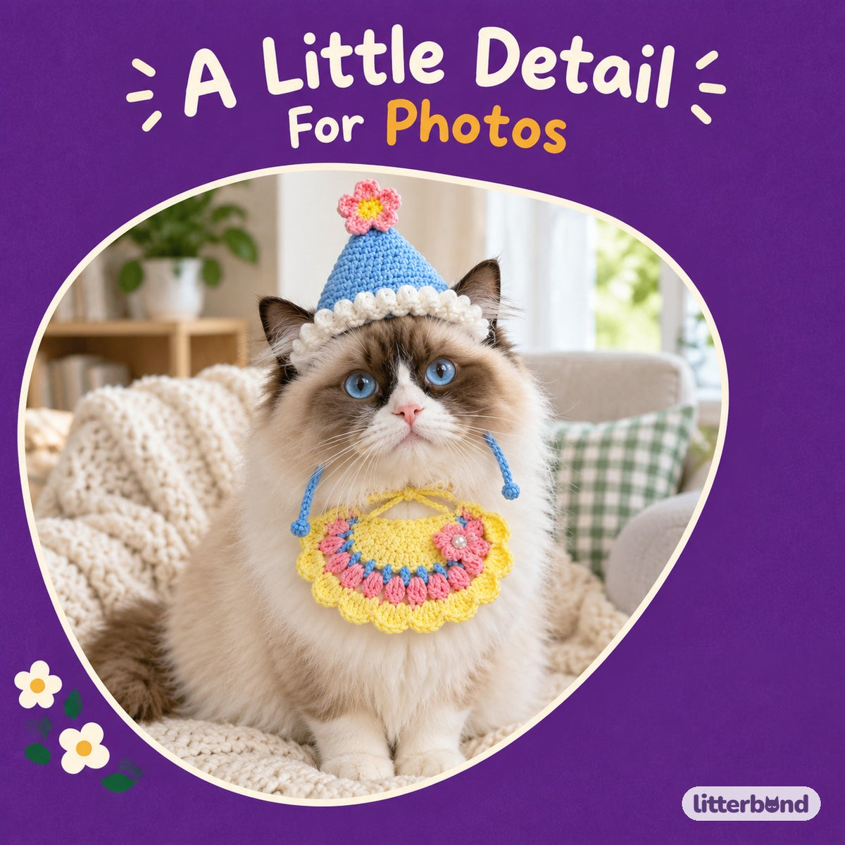 Flower Party Hat & Collar Options on a cat