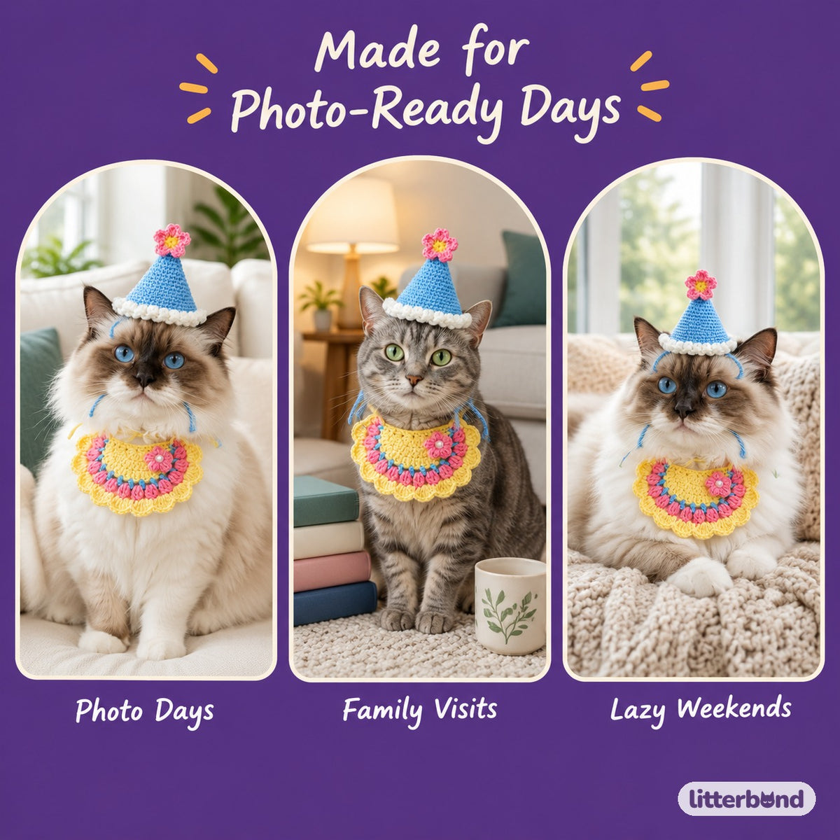Flower Party Hat & Collar Options on a cat at home