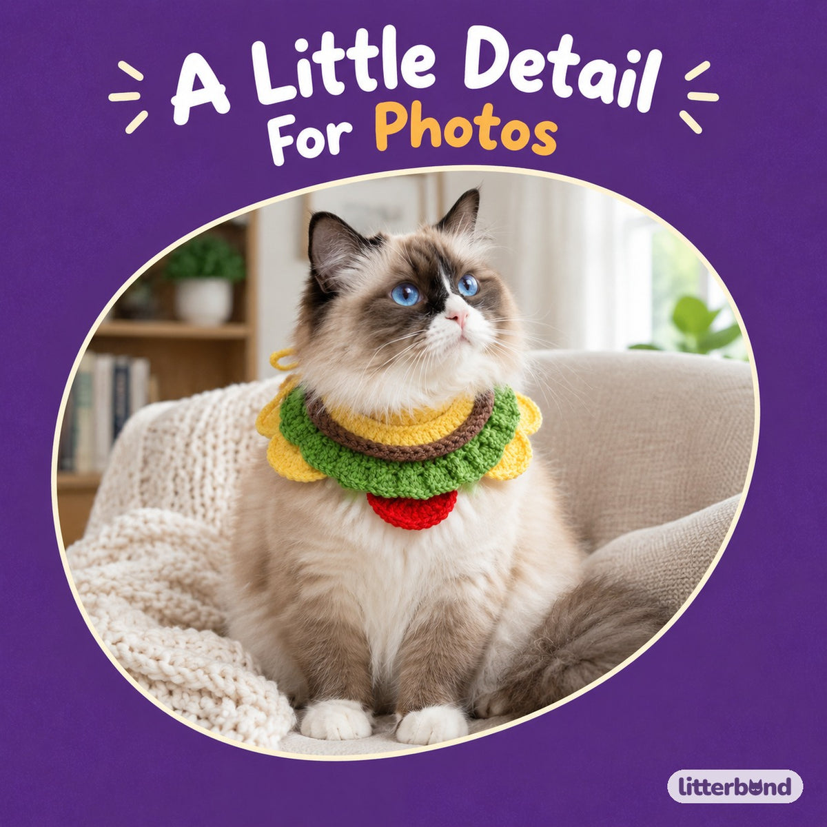 Crochet Burger Hat & Collar Options on a cat