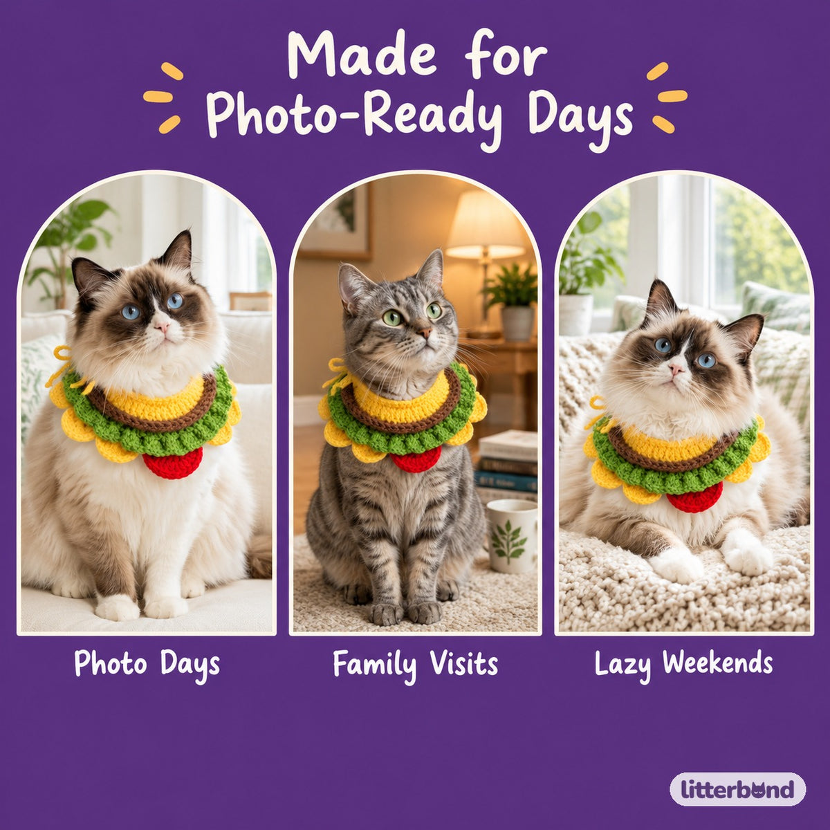 Crochet Burger Hat & Collar Options on a cat at home