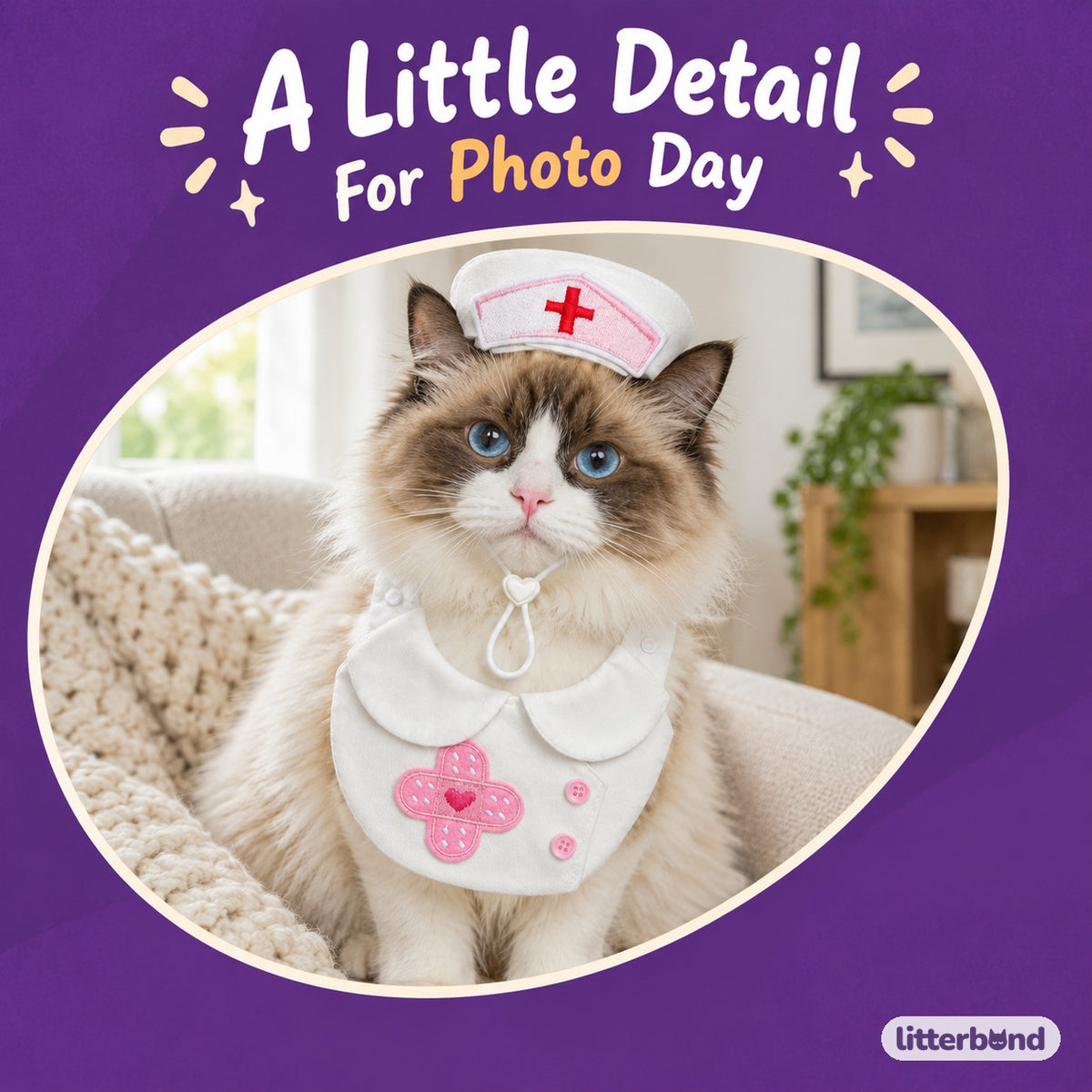 Nurse Costume Bib & Set Options on a cat