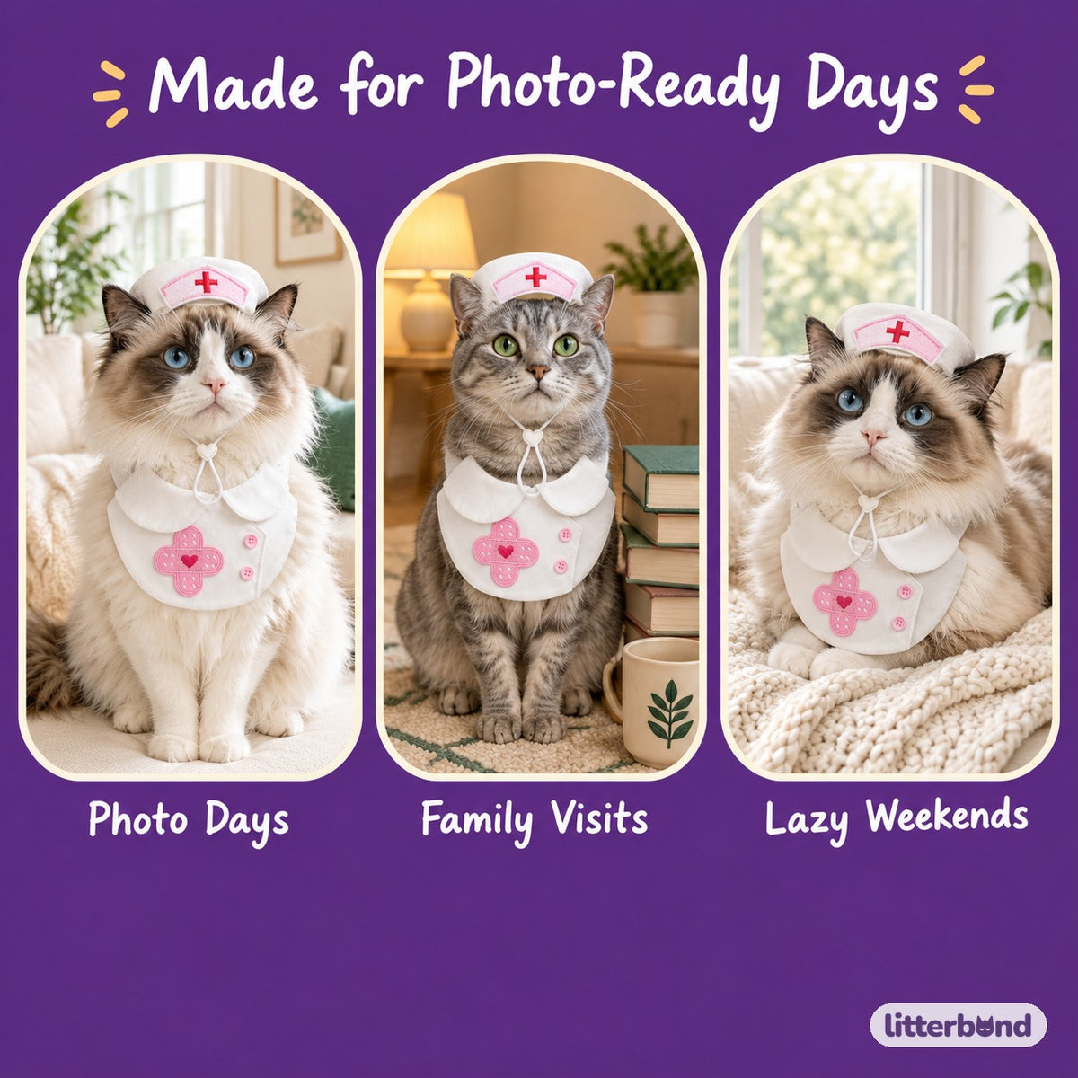 Nurse Costume Bib & Set Options on a cat at home