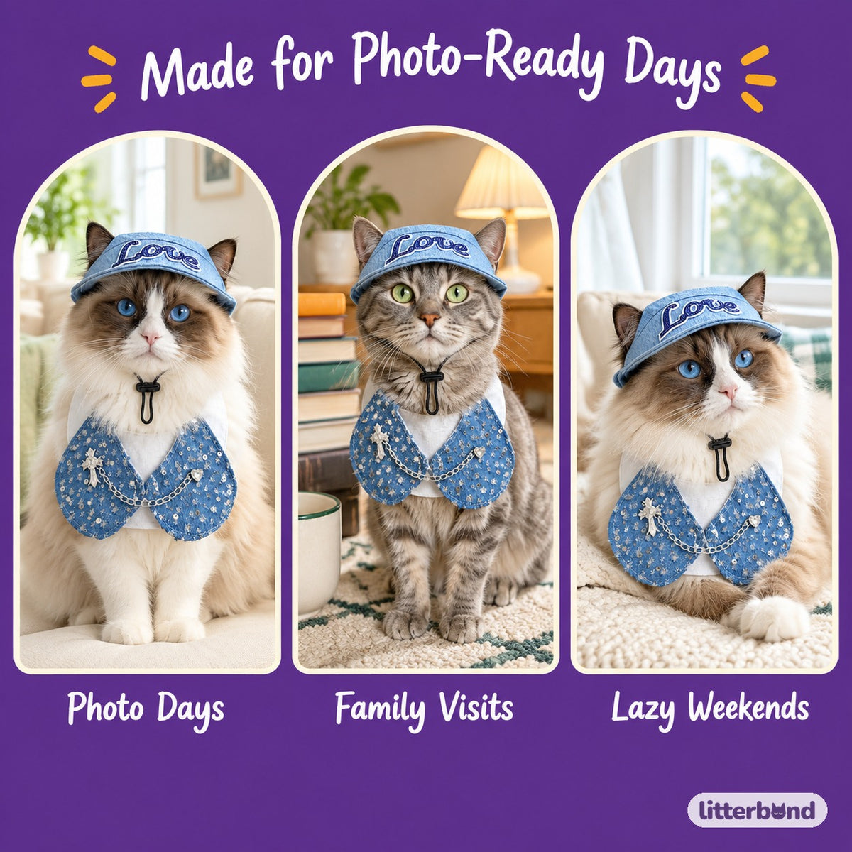 Denim Visor & Bib Options on a cat at home