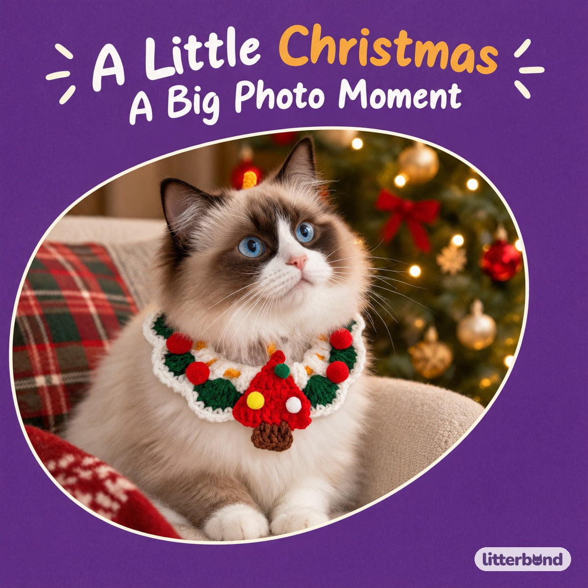 Christmas Pom-Pom Crochet Collar on a cat