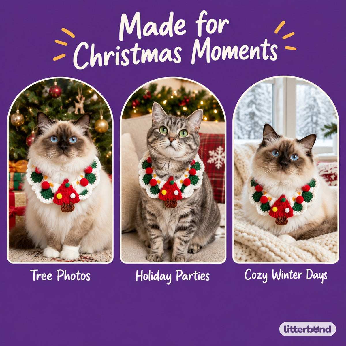 Christmas Pom-Pom Crochet Collar on a cat at home