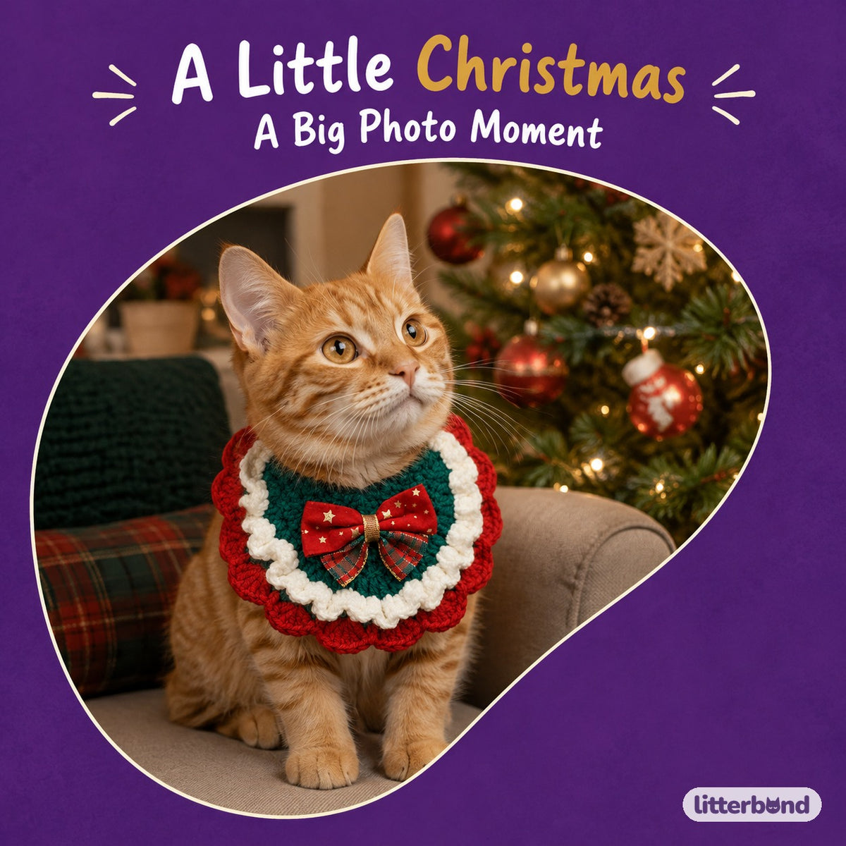 Christmas Bow Ruffle Bib on a cat
