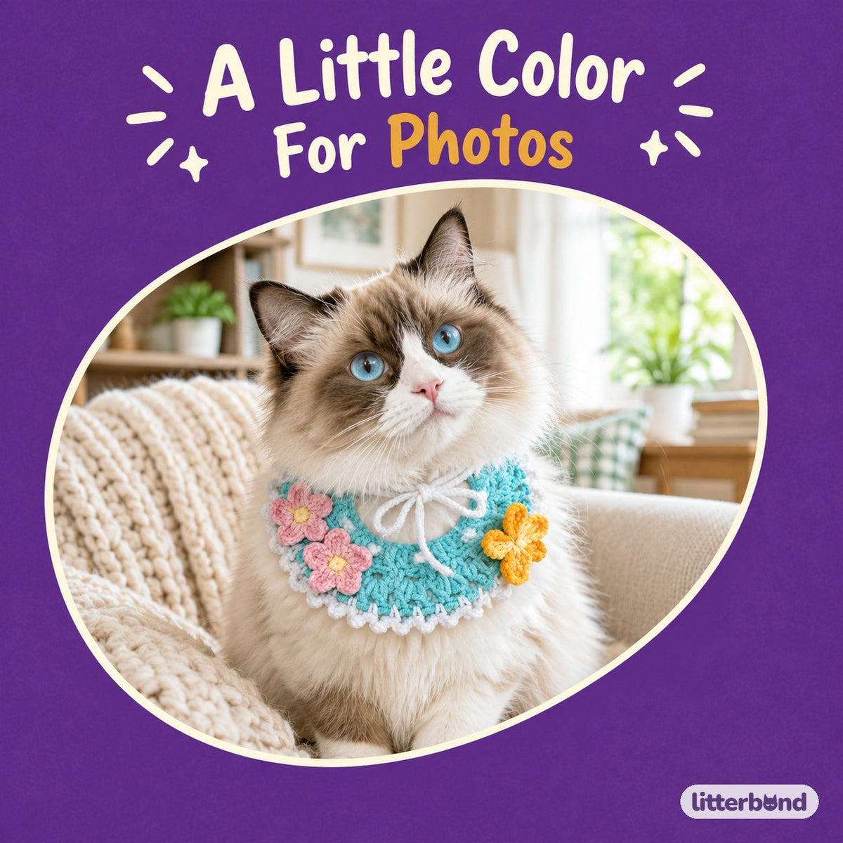 Flower & Butterfly Crochet Collar on a cat