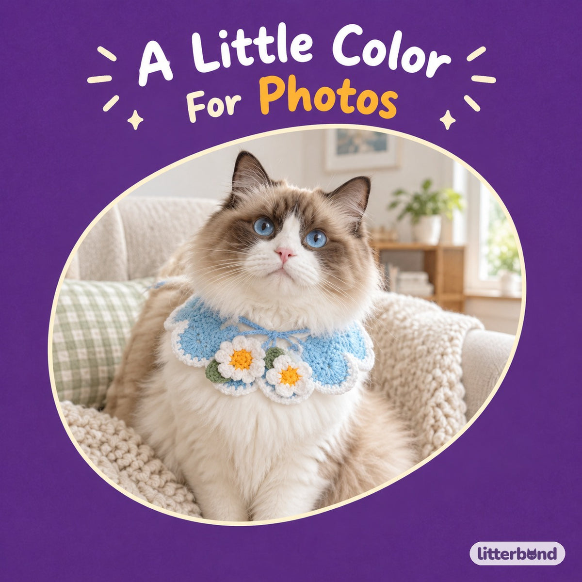Scalloped Daisy Crochet Collar on a cat