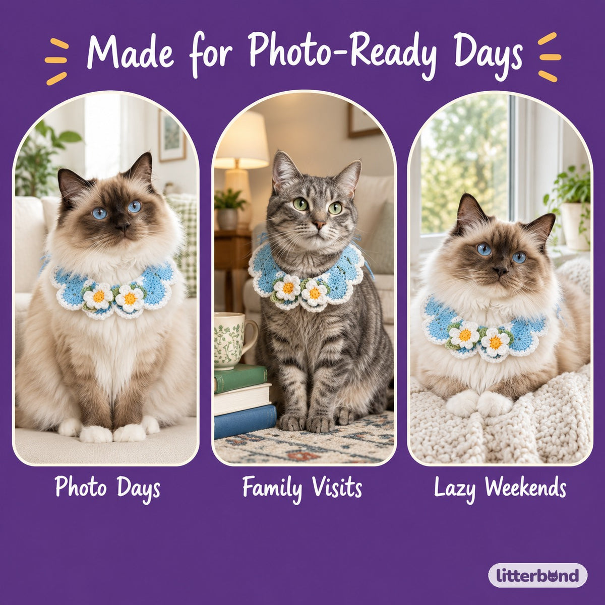 Scalloped Daisy Crochet Collar on a cat at home