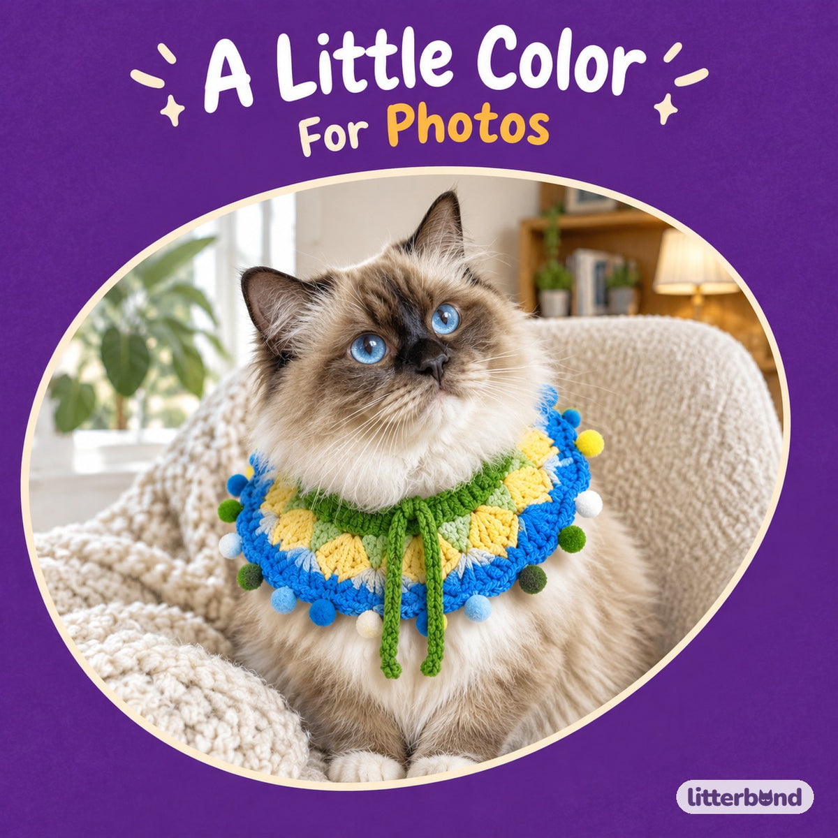 Rainbow Pom-Pom Crochet Collar on a cat
