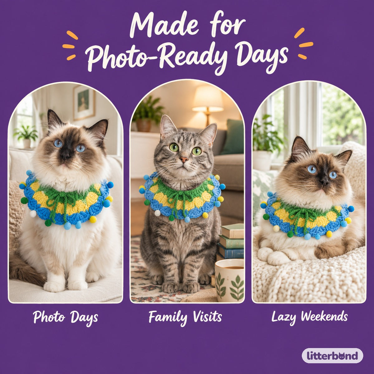 Rainbow Pom-Pom Crochet Collar on a cat at home