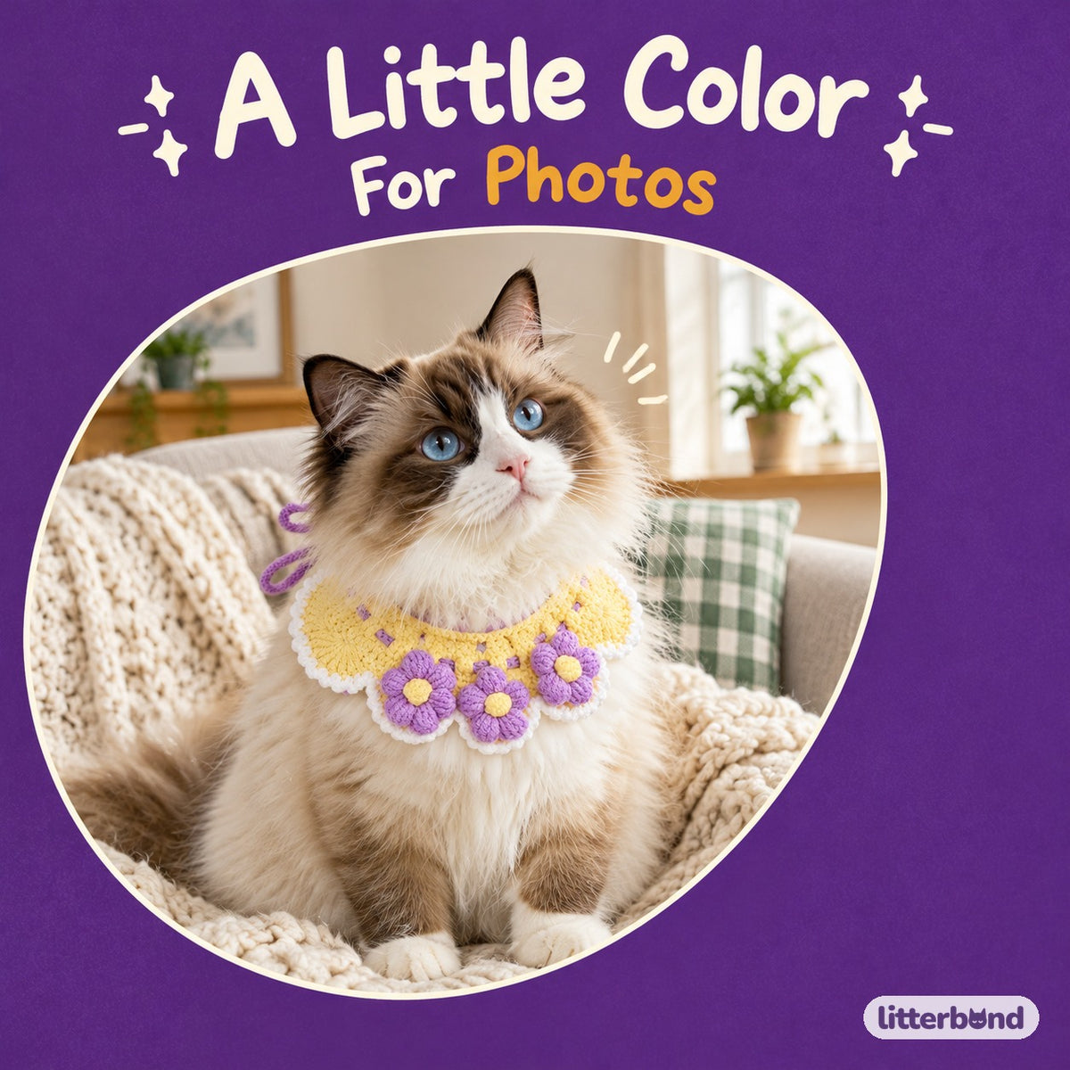 Puff Flower Crochet Collar on a cat